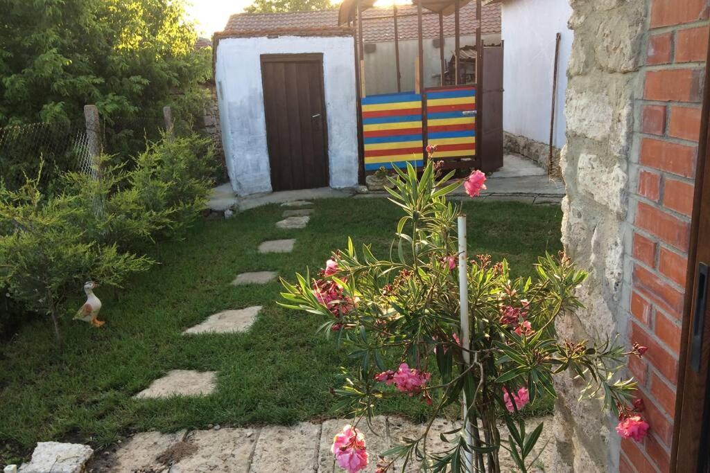 Guest House Kostadinovi Bŭlgarevo エクステリア 写真